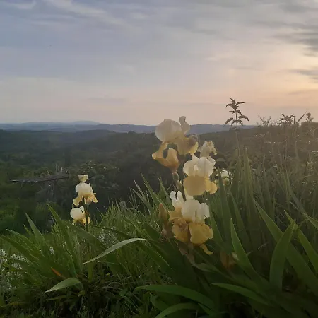 Ferme Beauregard Les Pyrenees Oda ve Kahvaltı Artigat
