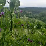 Ferme Beauregard Les Pyrenees 住宿加早餐酒店 Artigat