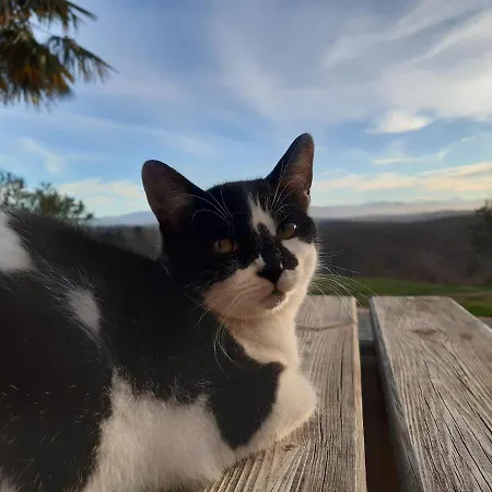 Ferme Beauregard Les Pyrenees 3* アルティガ
