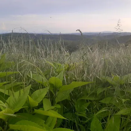Ferme Beauregard Les Pyrénées Couette-café Artigat