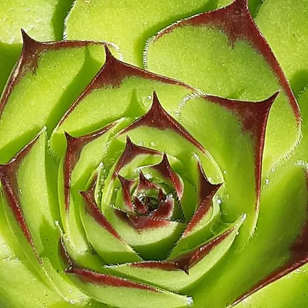 ベッド・アンド・ブレックファスト Ferme Beauregard Les Pyrenees 3*