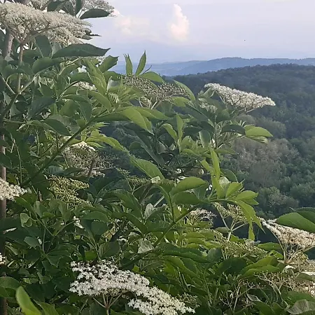 Ferme Beauregard Les Pyrenees 3* アルティガ