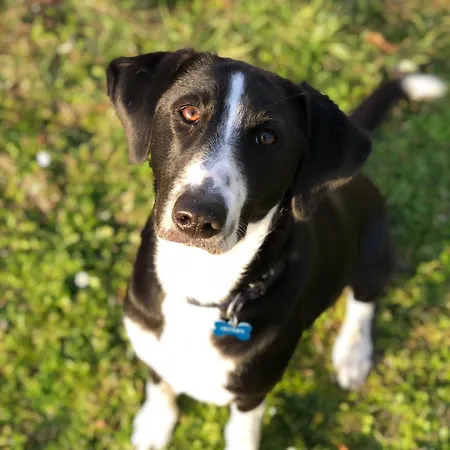 Ferme Beauregard Les Pyrénées Couette-café 3*
