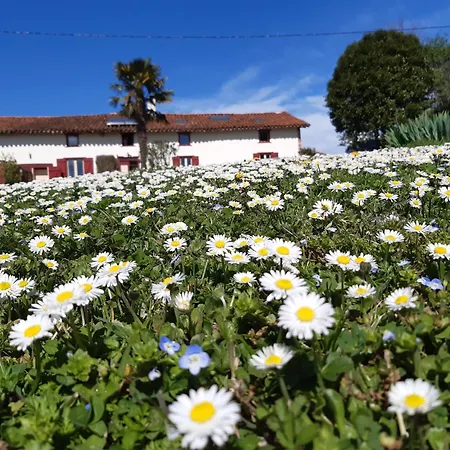 Ferme Beauregard Les Pyrénées Couette-café Artigat