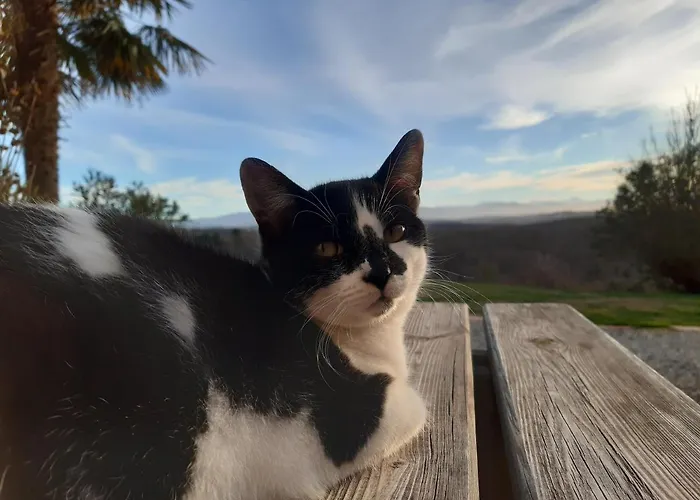 Ferme Beauregard Les Pyrenees 3* Artigat