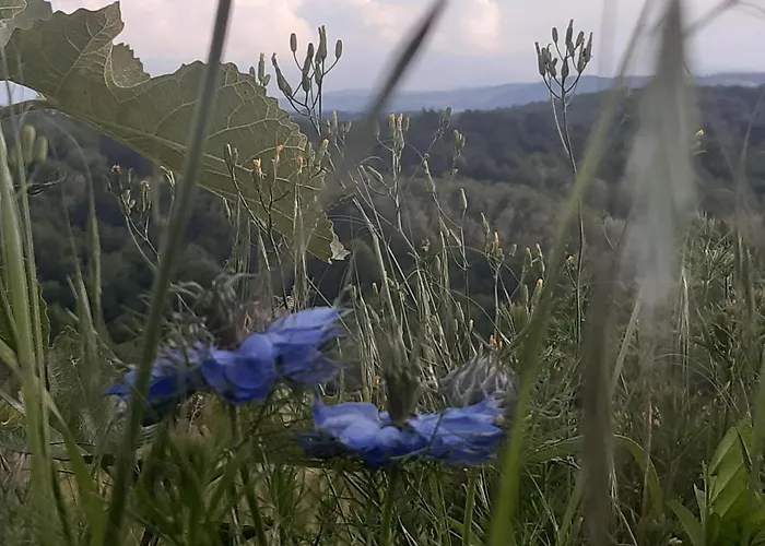 Ferme Beauregard Les Pyrenees
