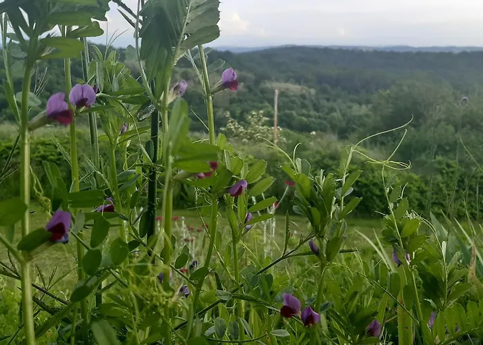 Ferme Beauregard Les Pyrenees Nocleg ze śniadaniem Artigat