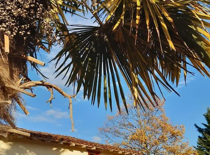 Ferme Beauregard Les Pyrenees Artigat