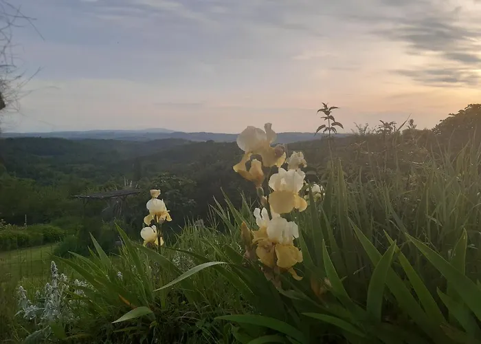 Ferme Beauregard Les Pyrenees Nocleg ze śniadaniem Artigat