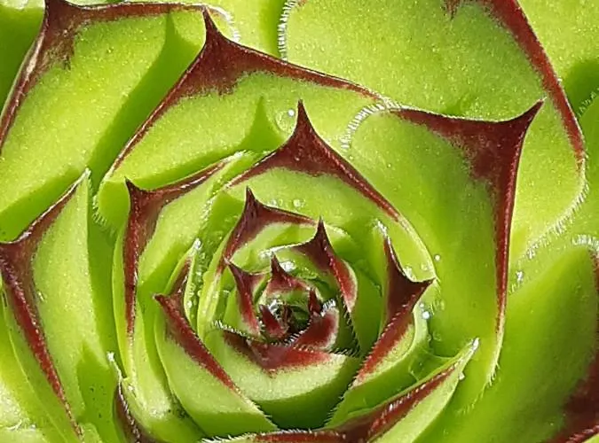 Bed & Breakfast Ferme Beauregard Les Pyrenees 3*