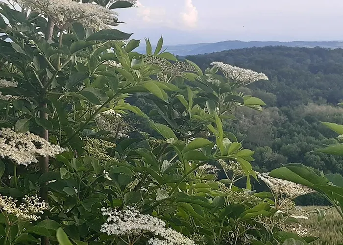 Ferme Beauregard Les Pyrenees 3* Artigat