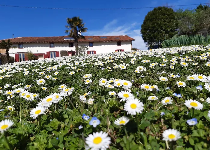 Ferme Beauregard Les Pyrenees Bed & Breakfast Artigat