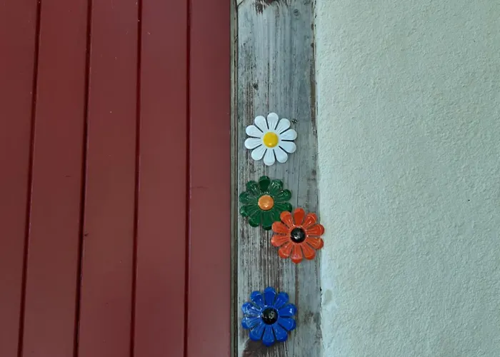 Bed & Breakfast Ferme Beauregard Les Pyrenees